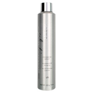 Kenra Platinum Finishing Spray